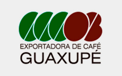 exportadora-de-caf-guaxup110545